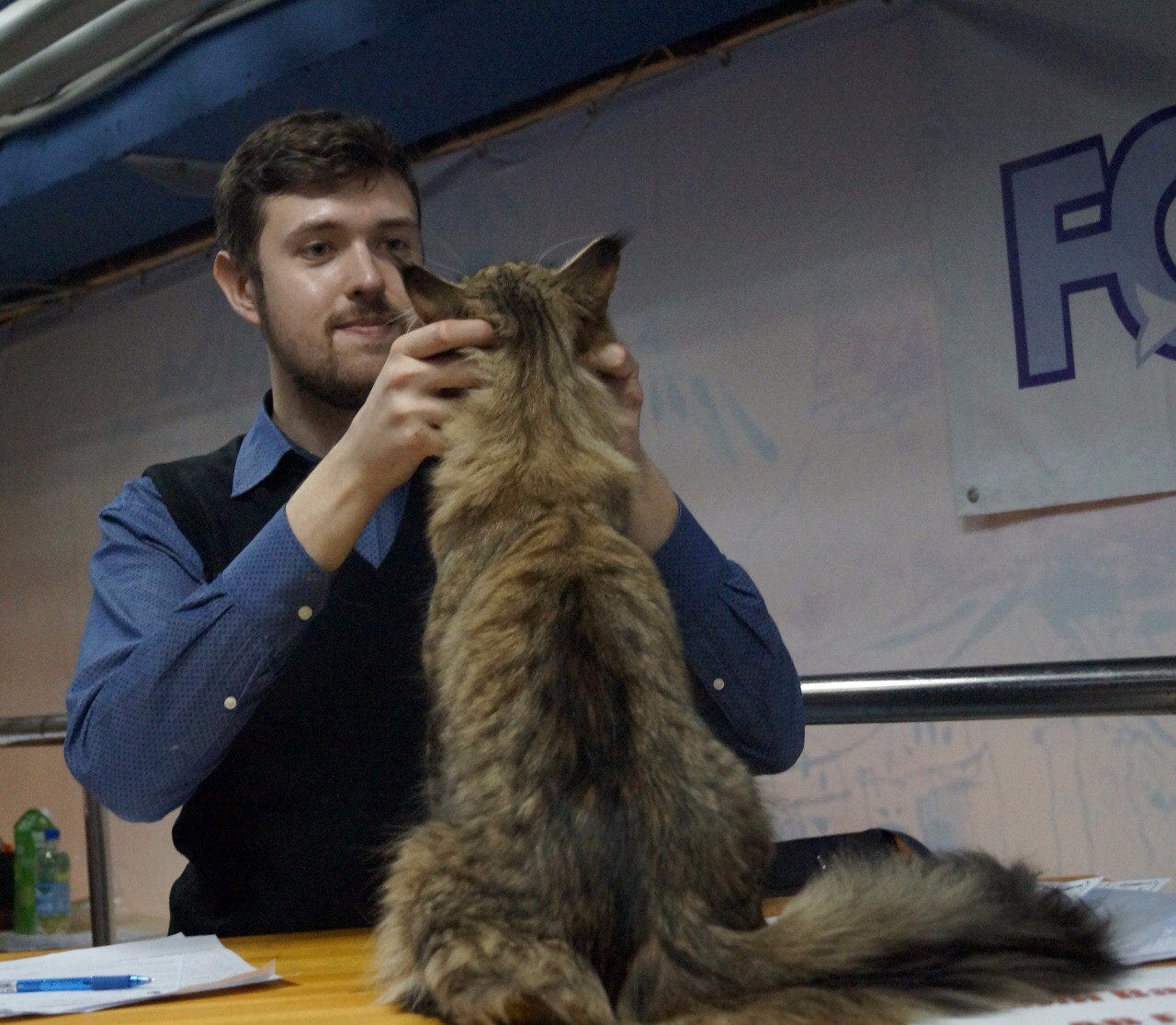 Central Feline Club (CFC)