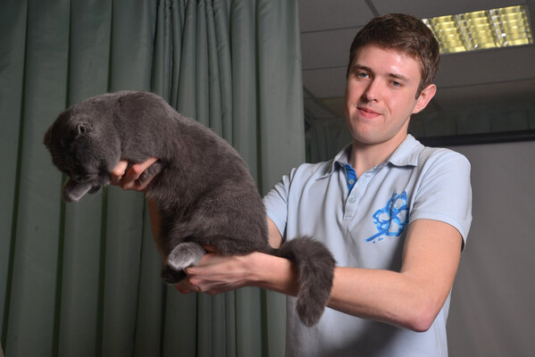 Vasili Ruzin, ALL Breed, Amsterdam