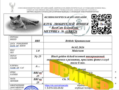 WCA image