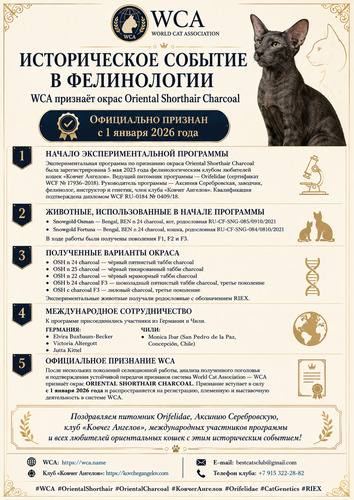 WCA image