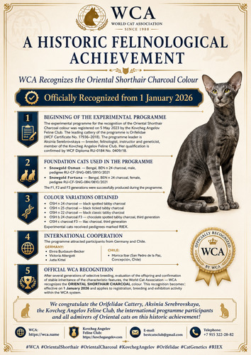 WCA image