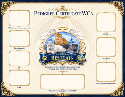 WCA image